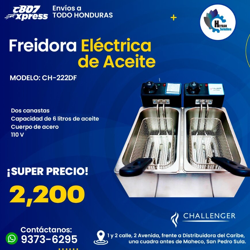 freidora de aceite 2 canastas 6 litros